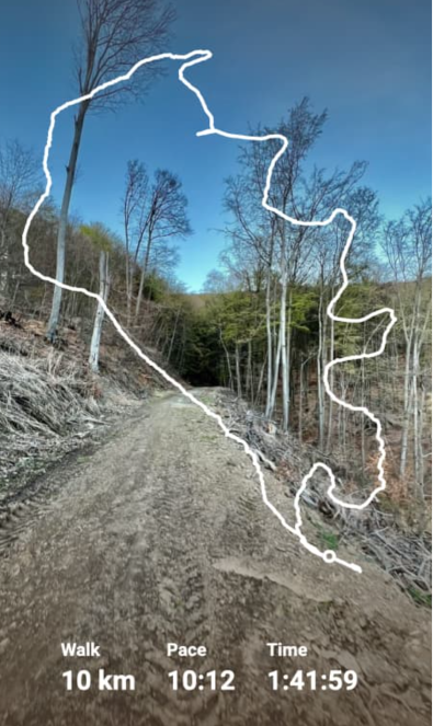 Example activity artwork with a route drawn over a landscape